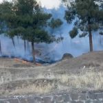 Bir orman yangını daha… Soruşturma açıldı