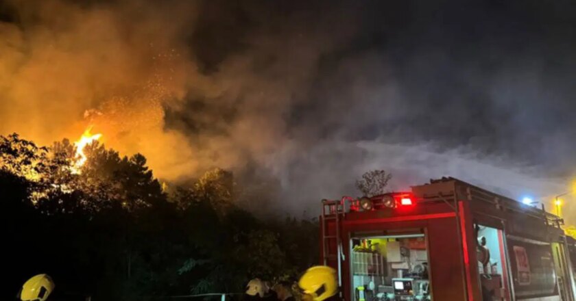 Beykoz’da orman yangını! Ekipler müdahale ediyor – Son Dakika Türkiye Haberleri