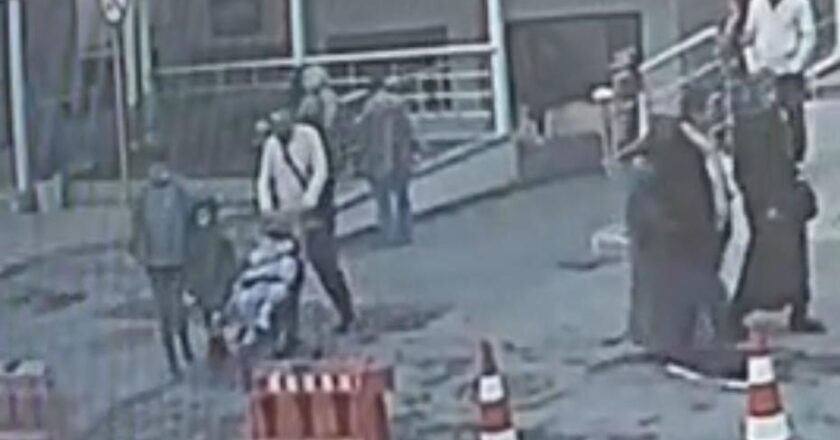 Böcek Ailesine Dair Yeni Görüntüler Gün Yüzüne Çıktı