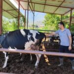 Milas’ta 11 mahalleye karantina uygulandı