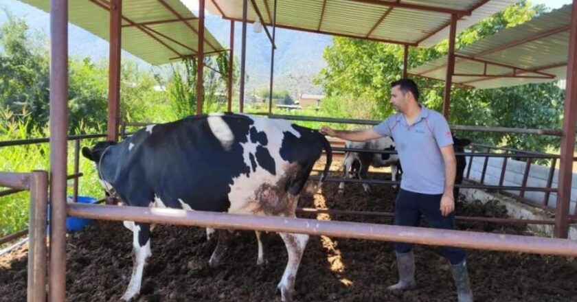 Milas’ta 11 mahalleye karantina uygulandı