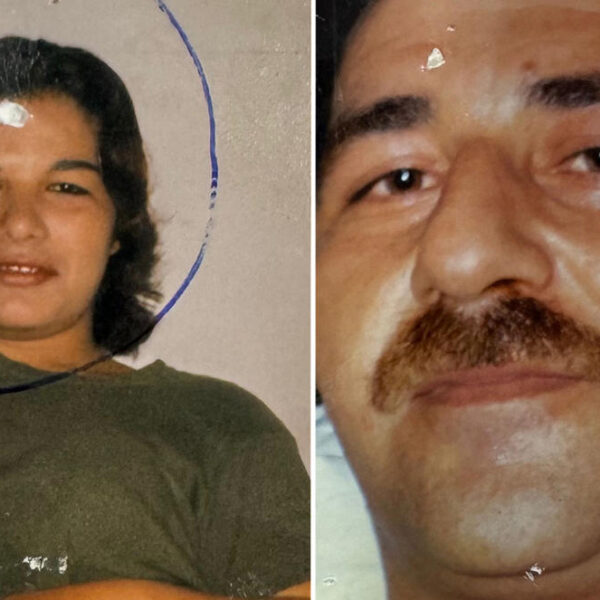 19 Yıl Sonra Domuz İnfazı Aydınlatıldı